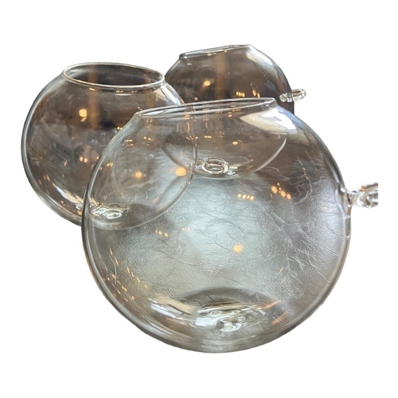 PIGMENT Glass Globe Succulent Wall Hangers 3 x 5 - Picture 6 of 7